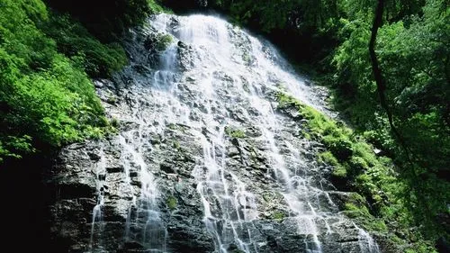 绿色可靠性高端
